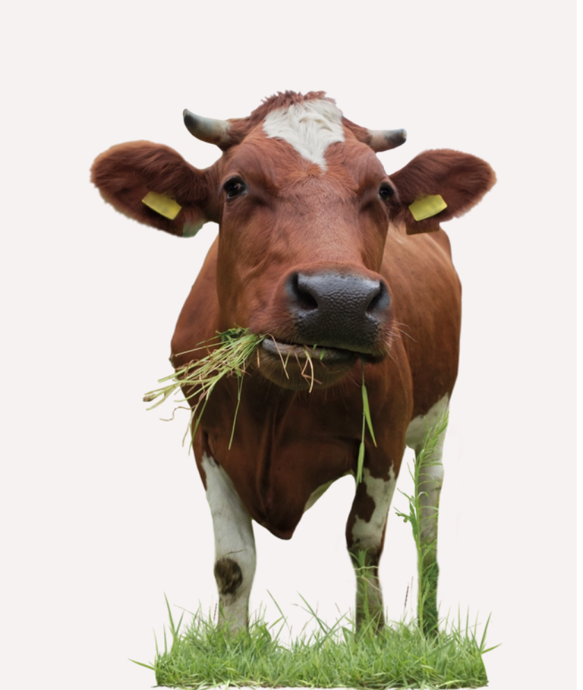 Screenshot 2024 03 25 at 19 35 06