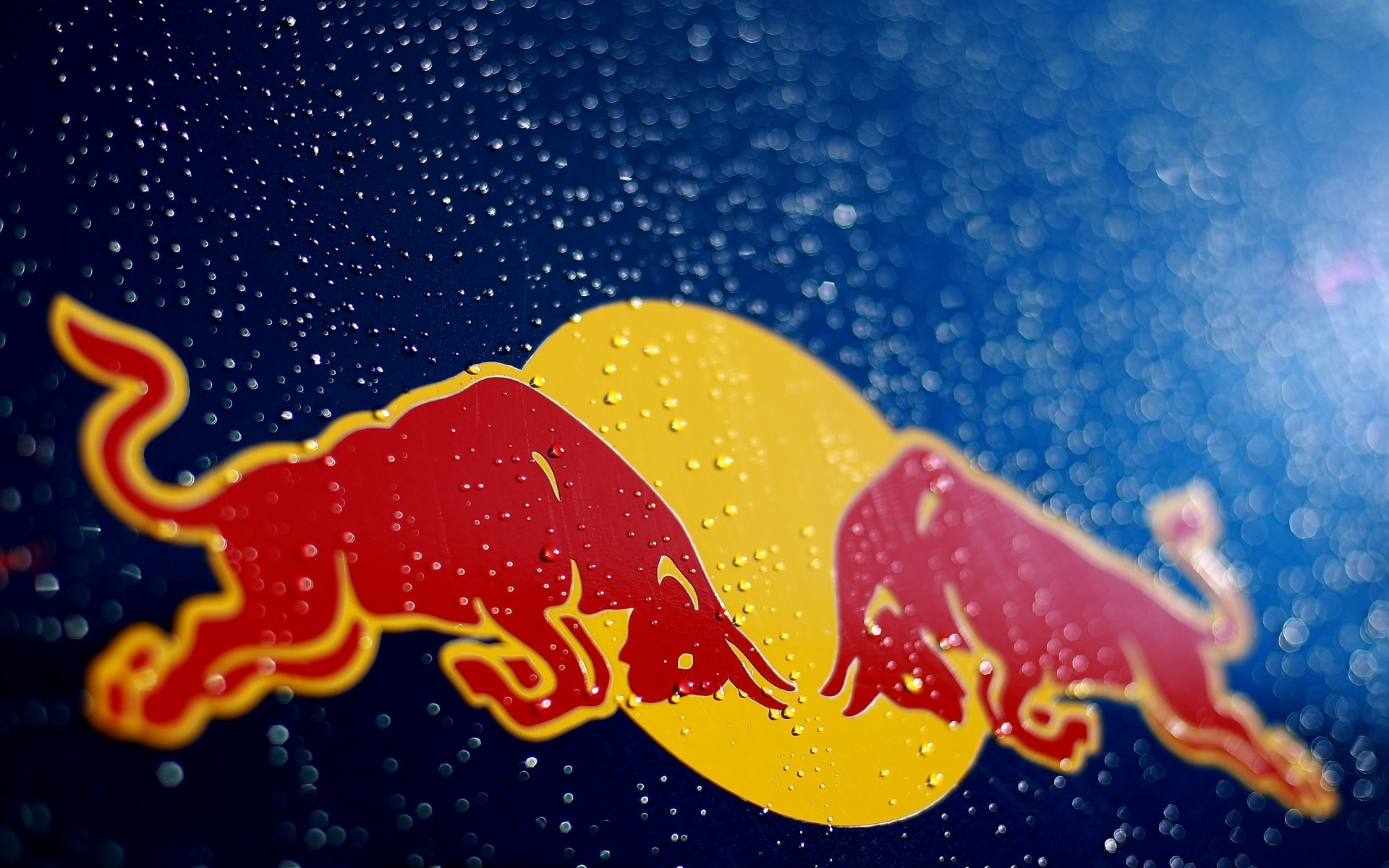 Red bull f1 logo vettel